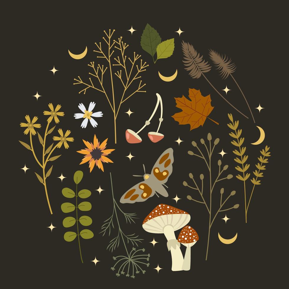 Botanical composition with autumn flowers, leaves, mushrooms, moon and a butterfly placed in circle on a dark background. Template for invitation, card, print for clothes. Vector illustration.
