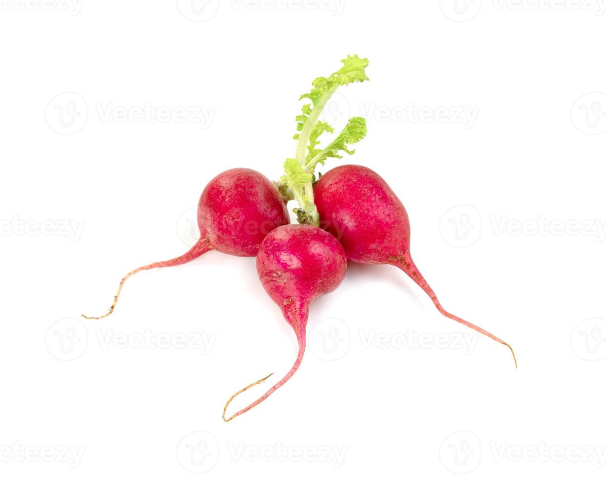 small red radish isolated on white background photo