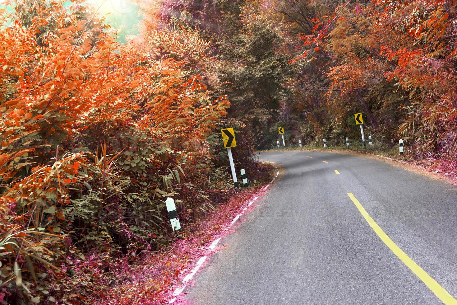 road in the forest with turn left traffic sign,filter effect photo