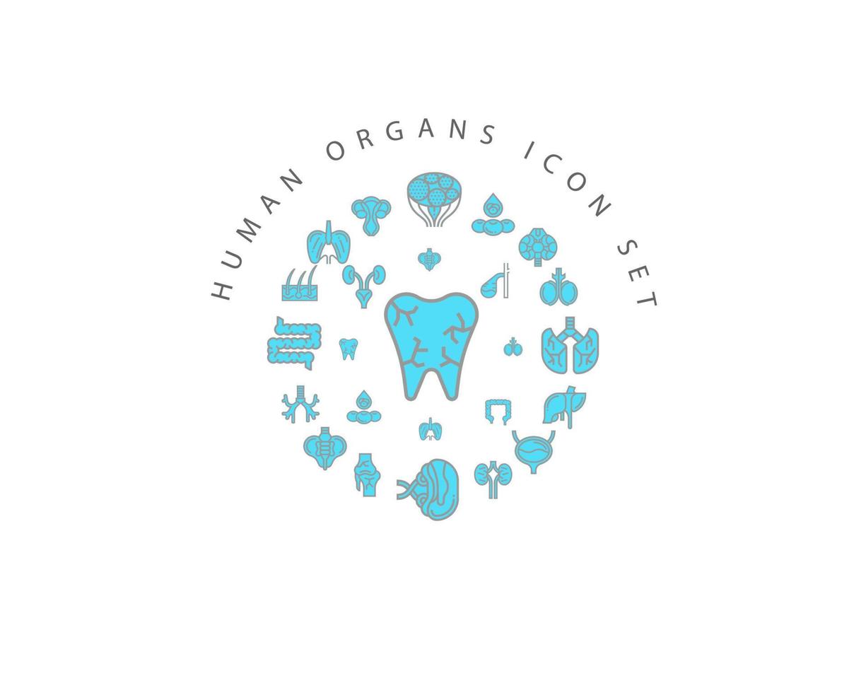 Human organs icon set design on white background. vector