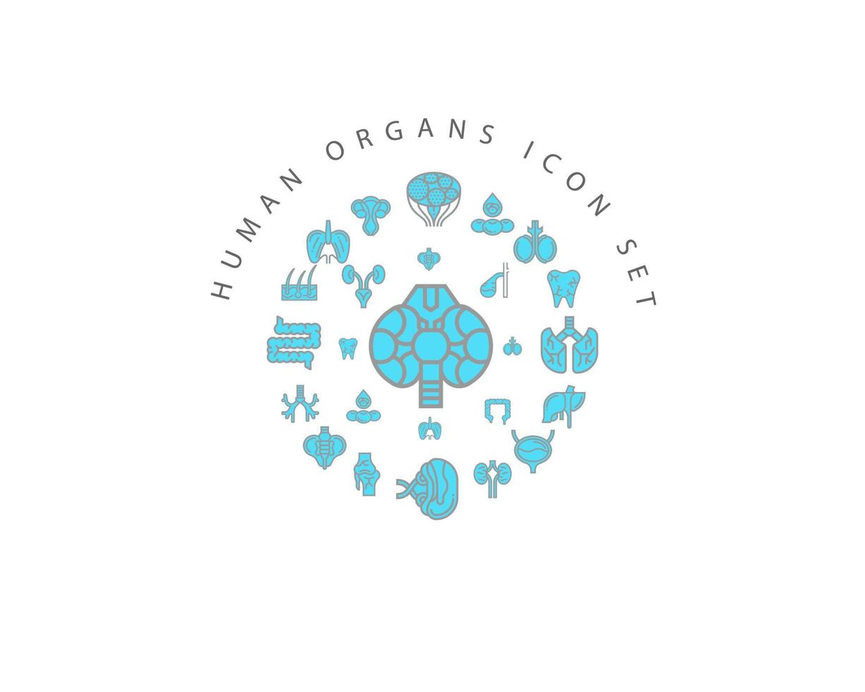 Human organs icon set design on white background. vector