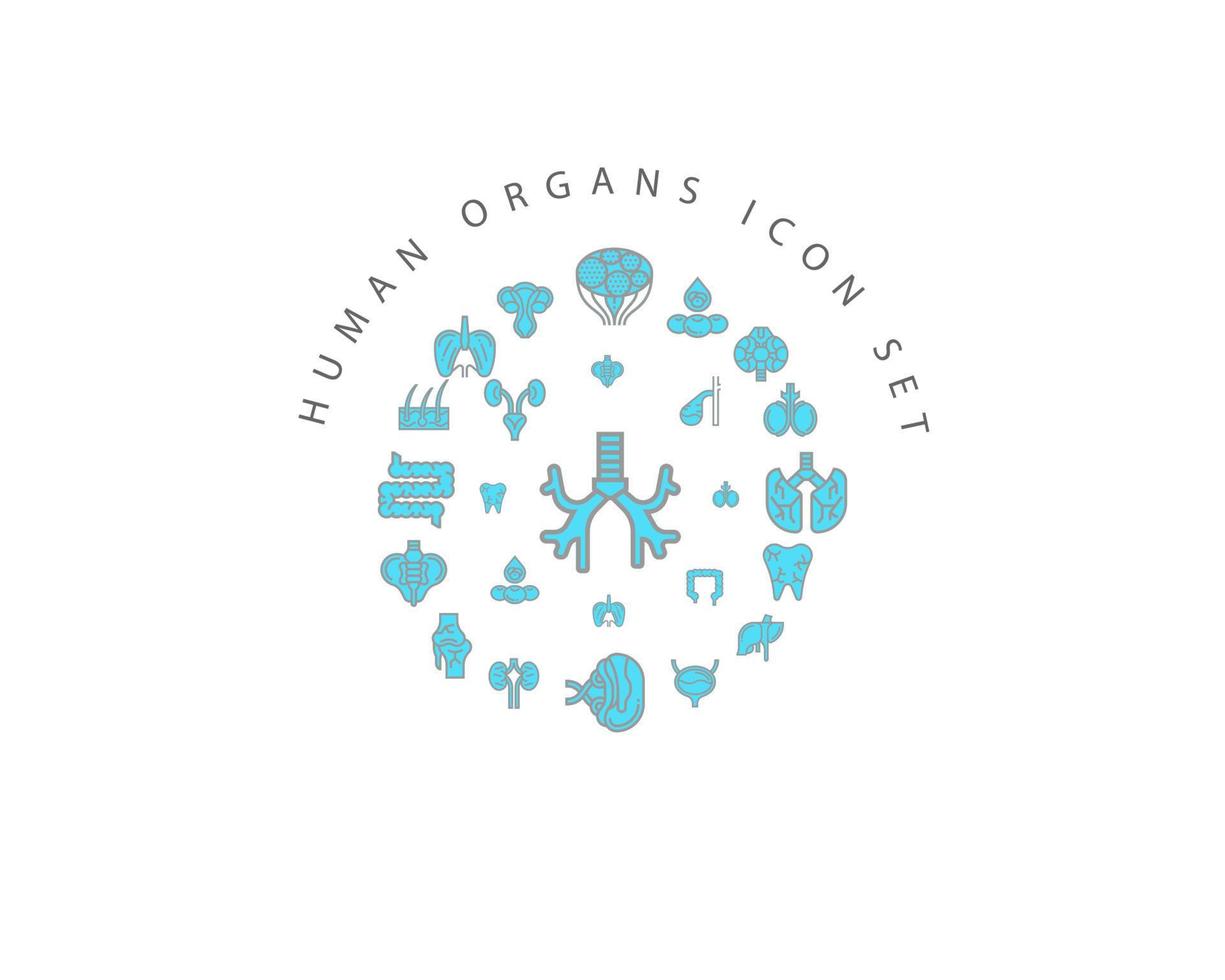 Human organs icon set design on white background. vector