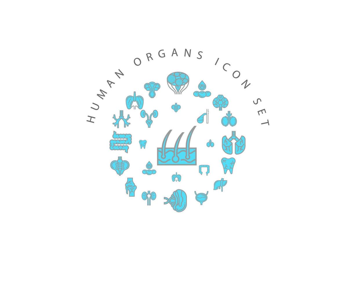 Human organs icon set design on white background. vector