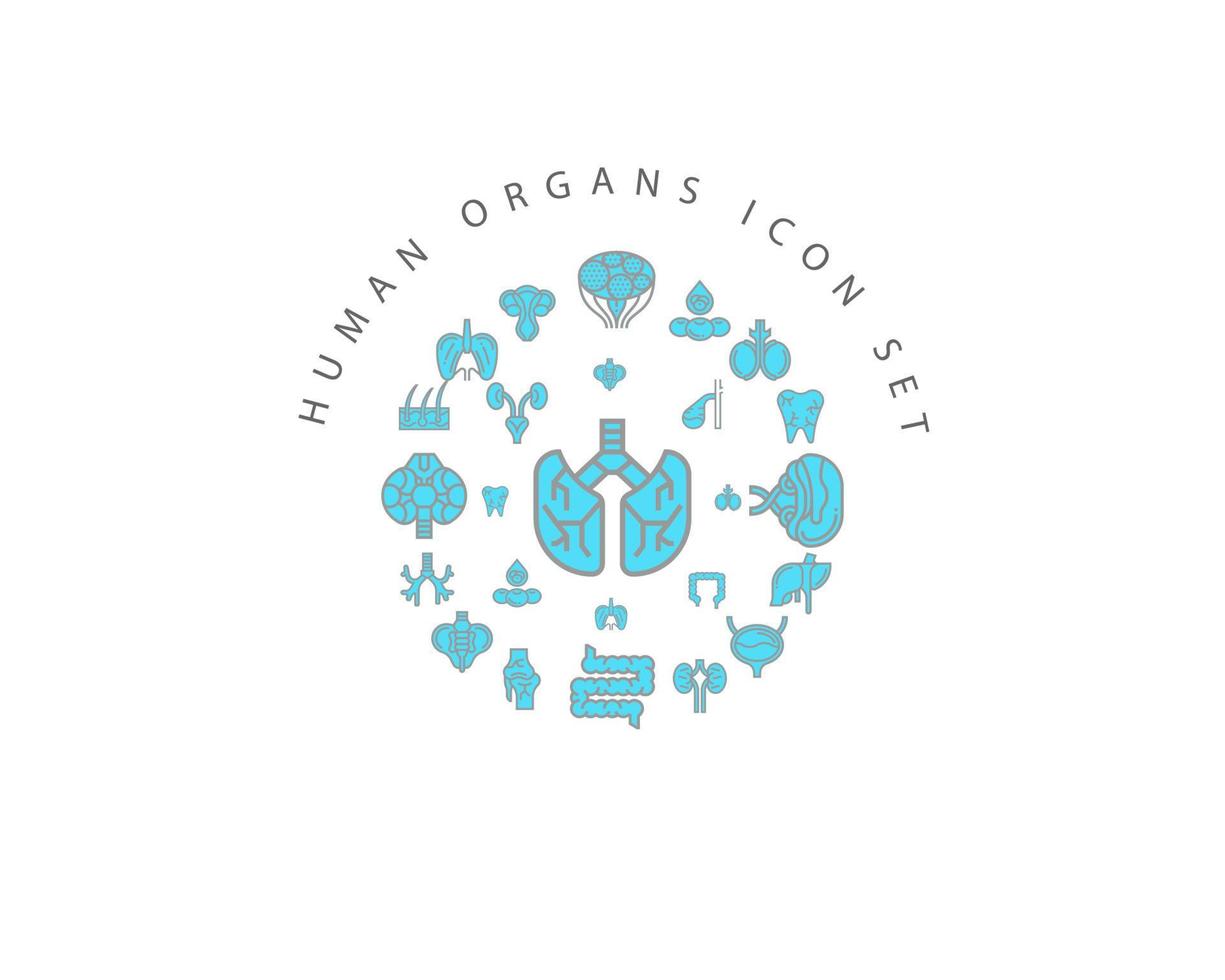 Human organs icon set design on white background. vector