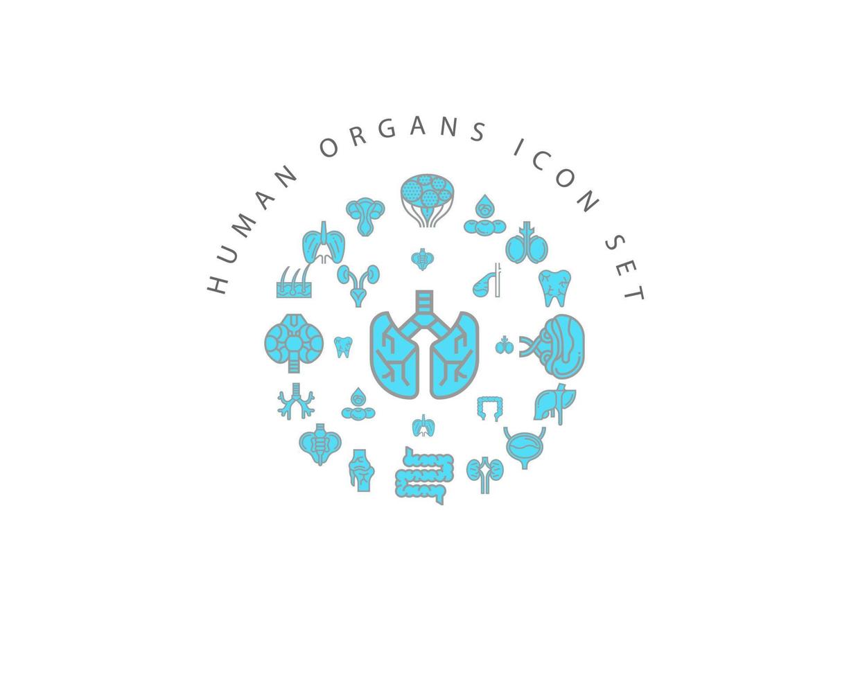 Human organs icon set design on white background. vector