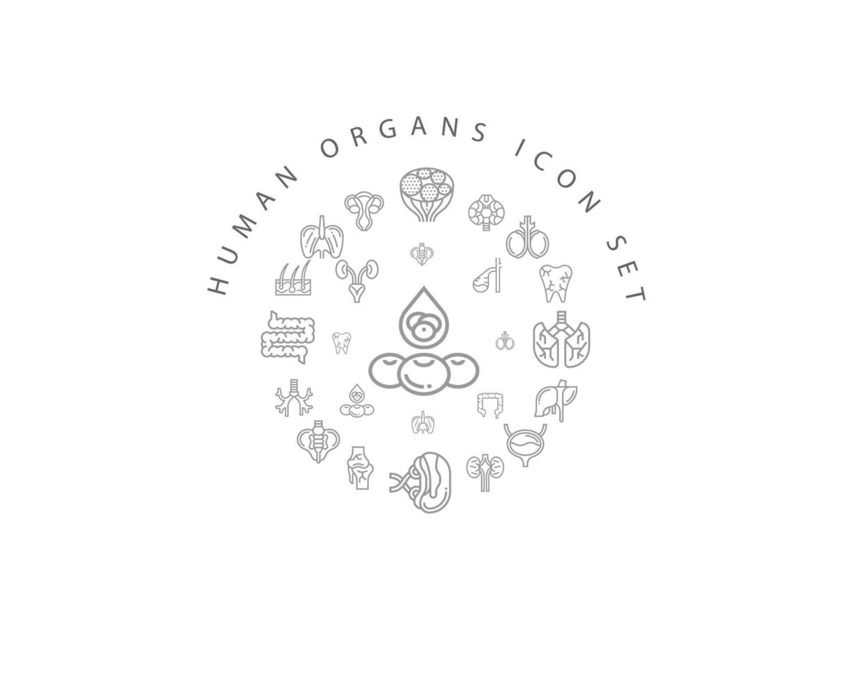 Human organs icon set design on white background. vector