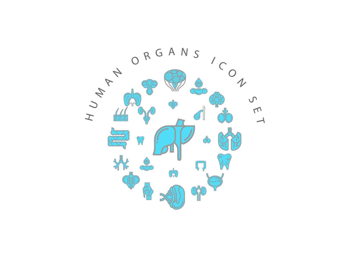 Human organs icon set design on white background. vector