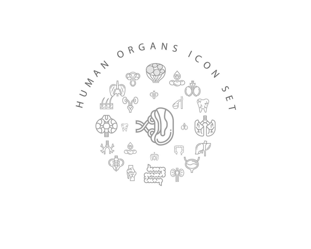 Human organs icon set design on white background. vector