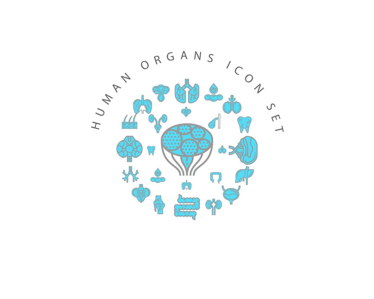 Human organs icon set design on white background. vector