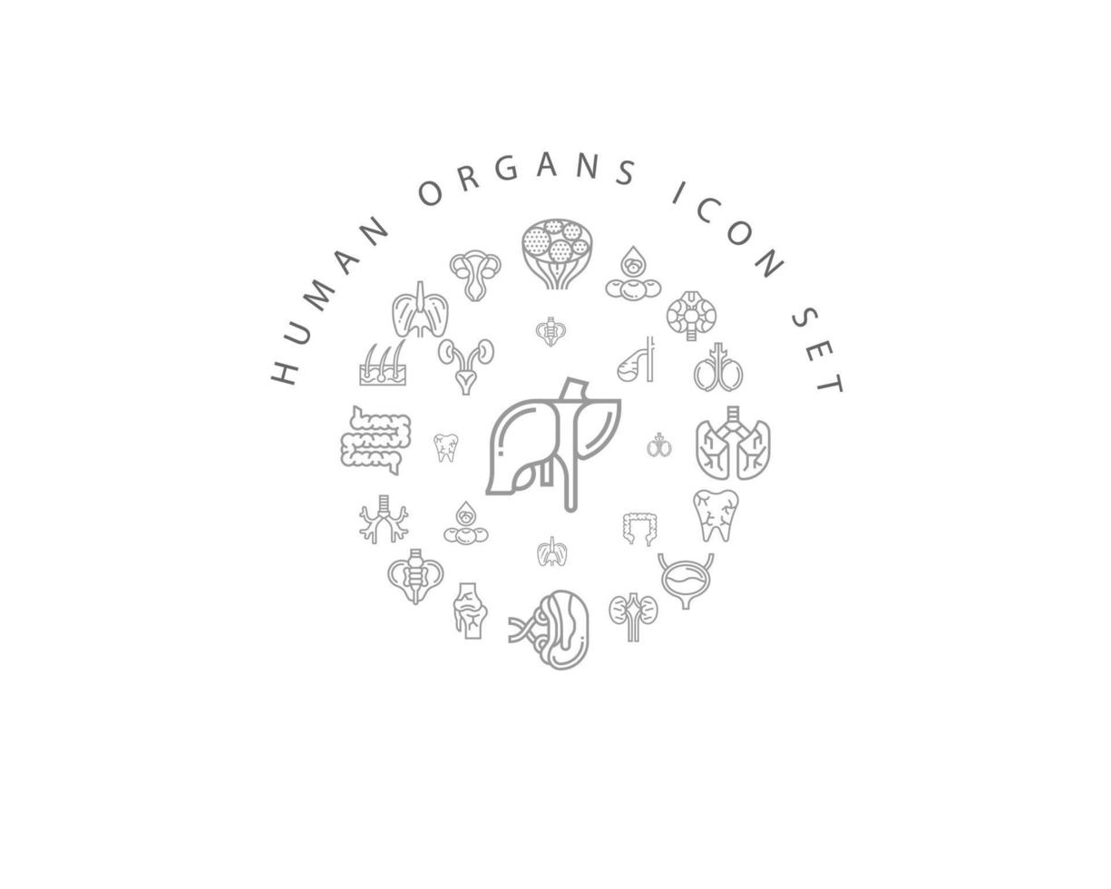 Human organs icon set design on white background. vector