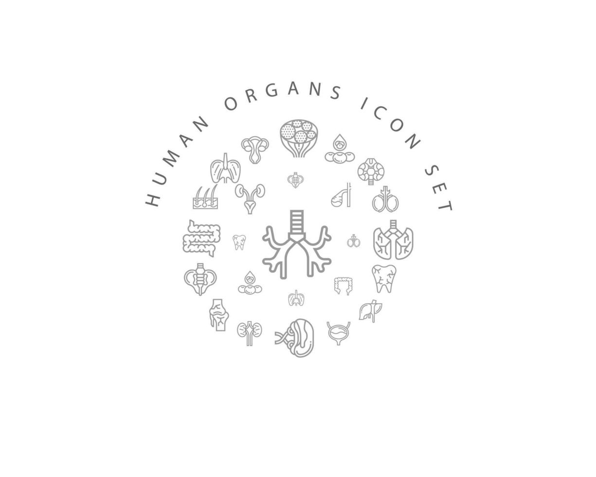 Human organs icon set design on white background. vector