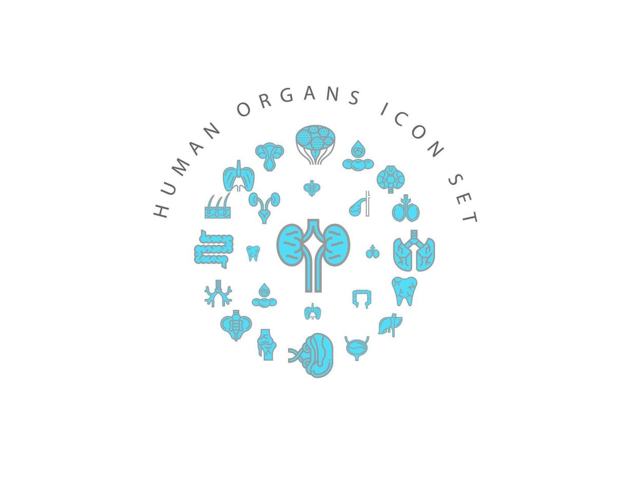 Human organs icon set design on white background. vector