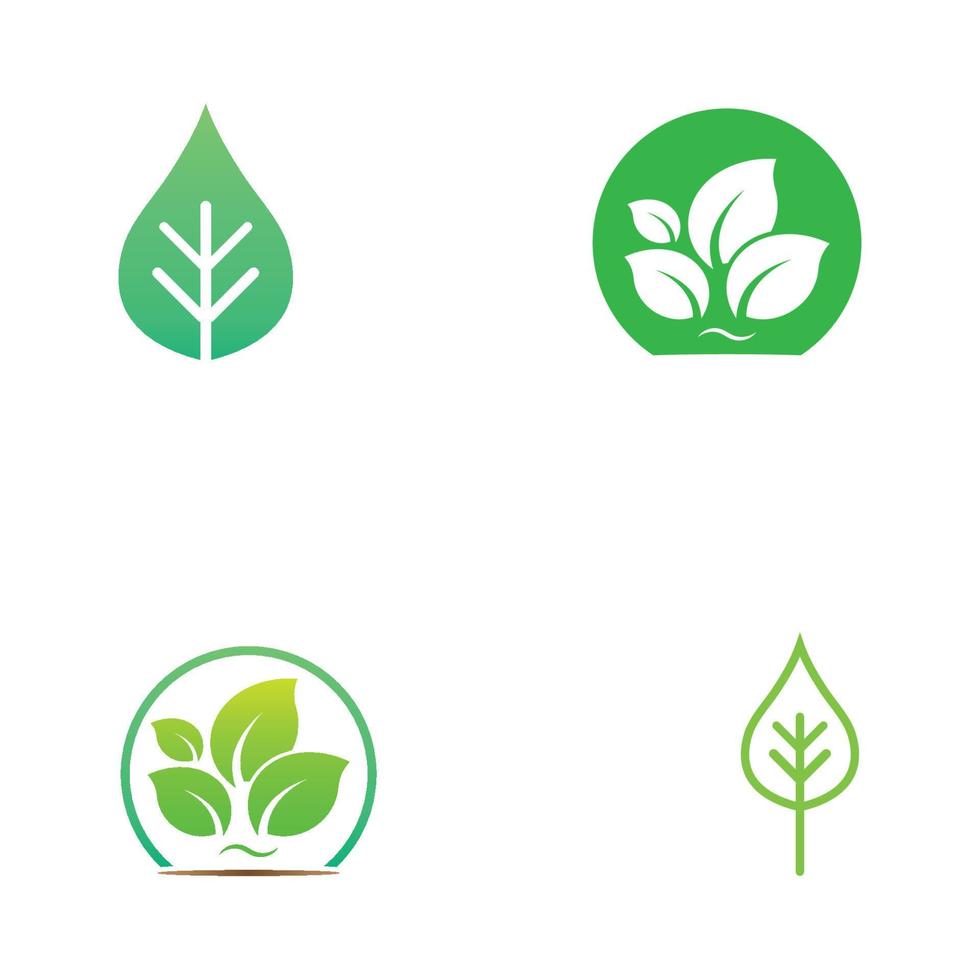 Green leaf logo. Vector design of gardens, plants and nature.