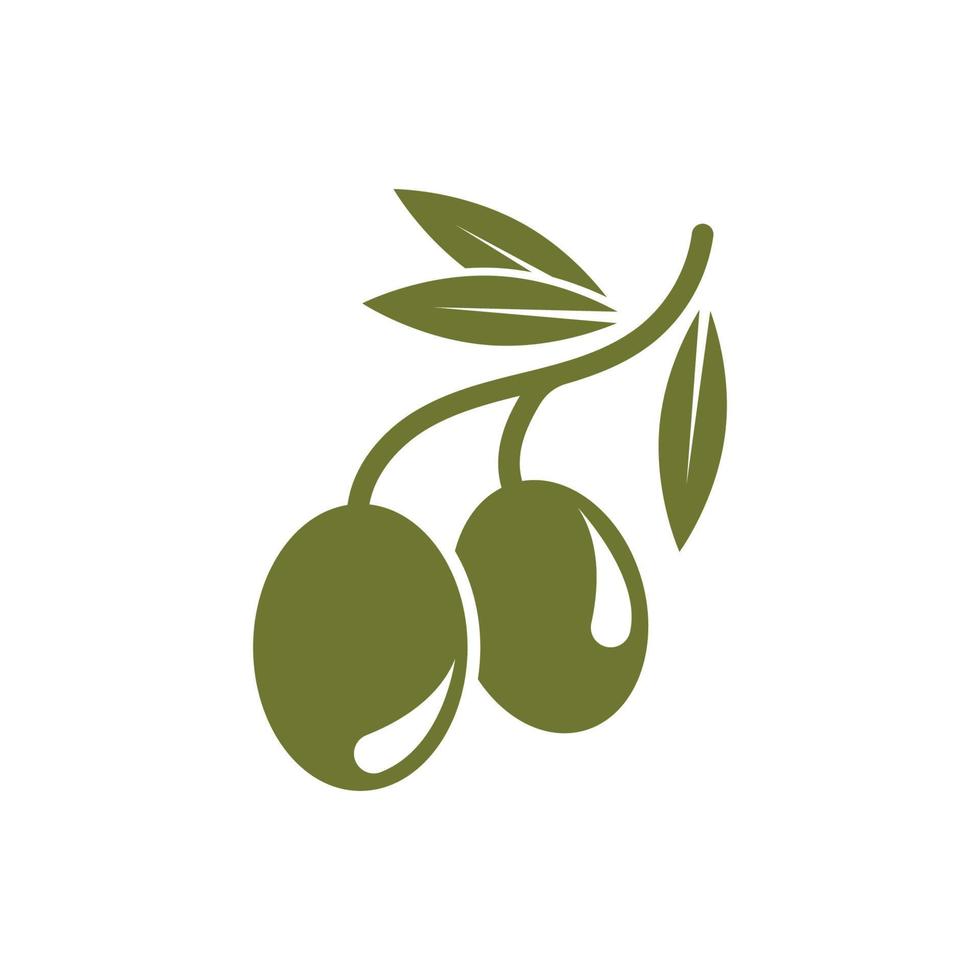 Olive tree vector illustration