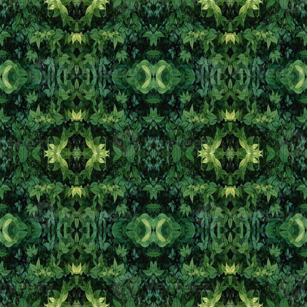 Green leaves pattern with drop of water,autumn plant leaf background,seamless pattern photo