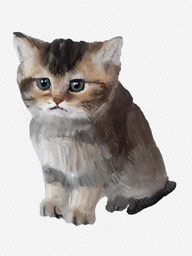 cute little kitten watercolor photo