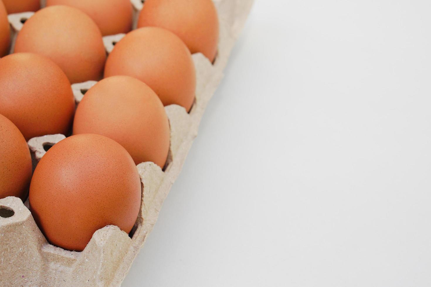 Chicken raw eggs in paper egg panel or in an egg stall on white background. photo