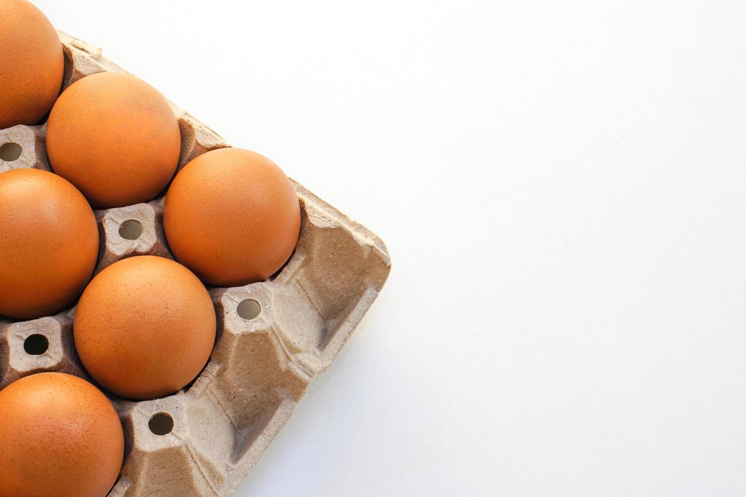 Chicken raw eggs in paper egg panel or in an egg stall on white background. photo