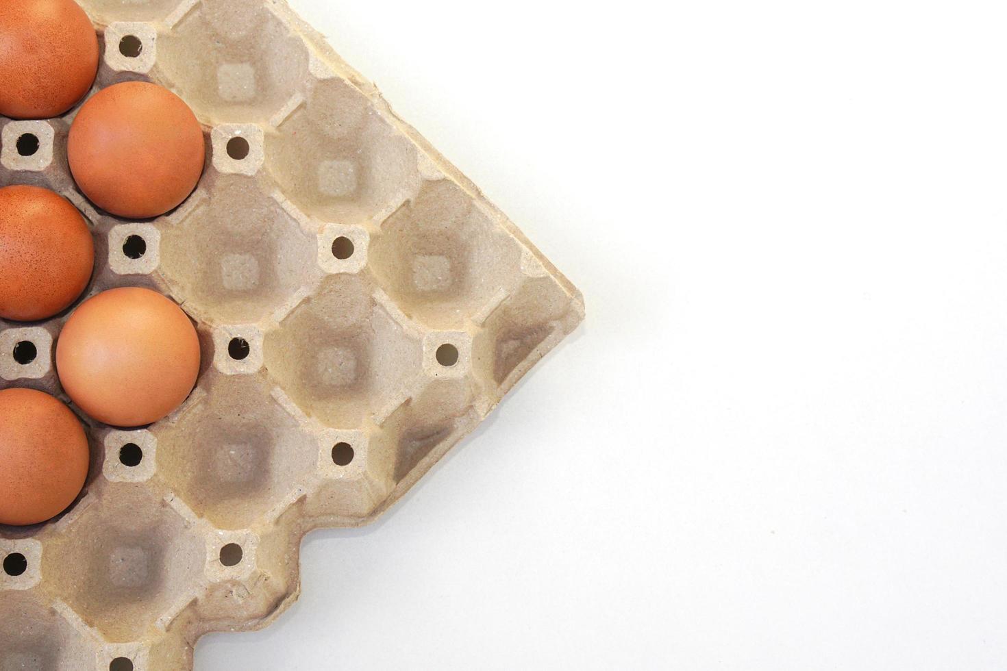 huevos crudos de pollo en un panel de huevos de papel o en un puesto de huevos sobre fondo blanco. foto