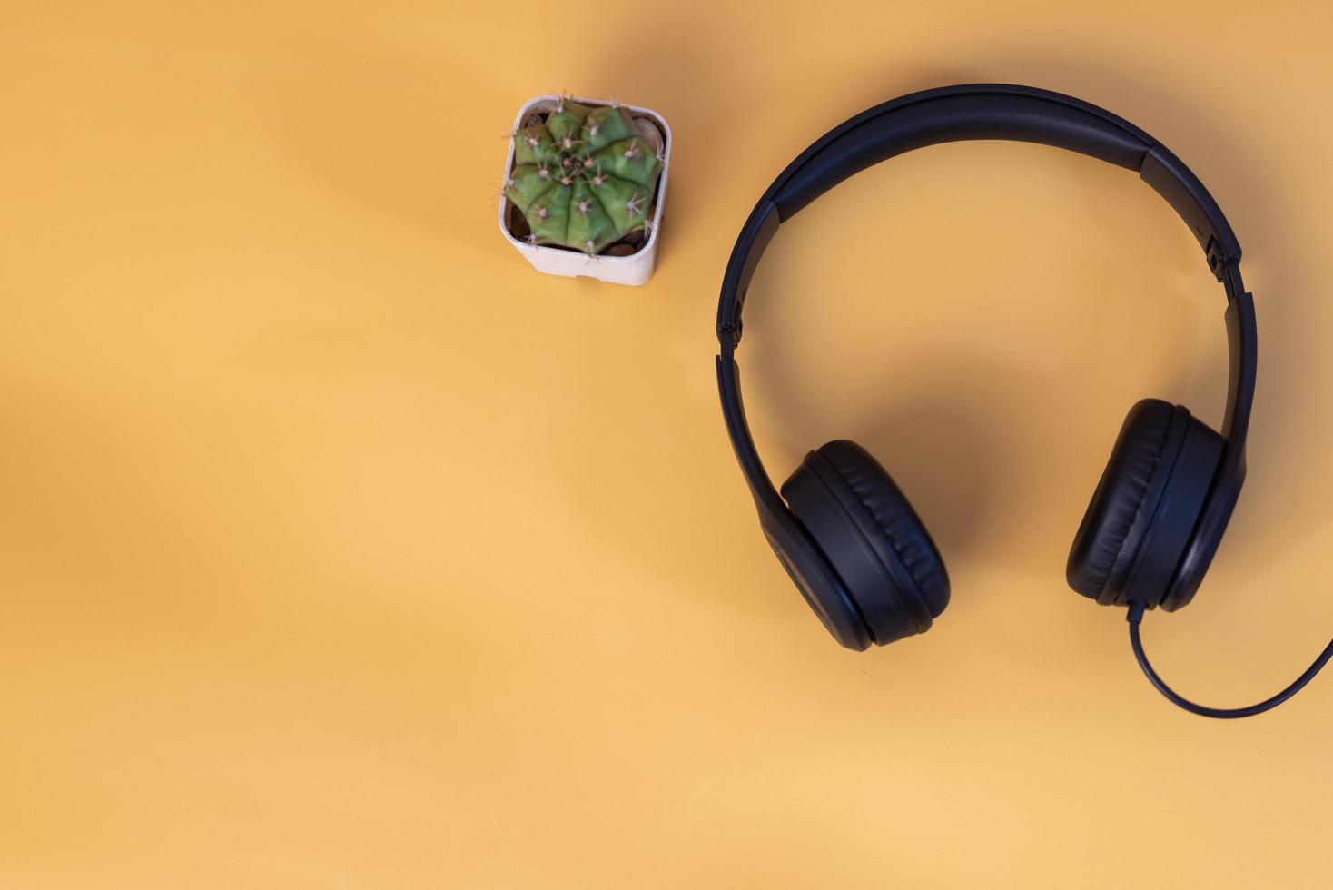 earphones and cactus on yellow background copy space. photo