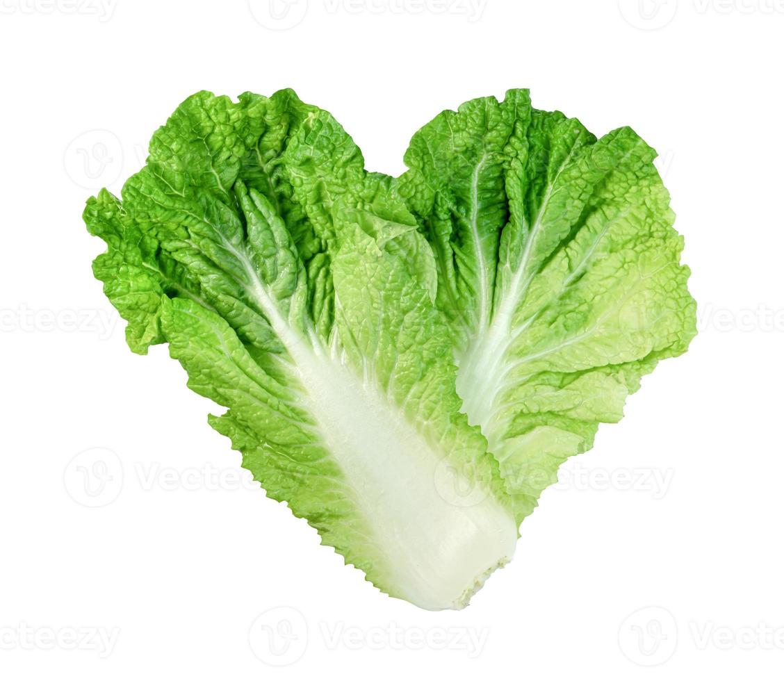 Fresh chinese cabbage leaf isolated on white background ,Green leaves pattern photo