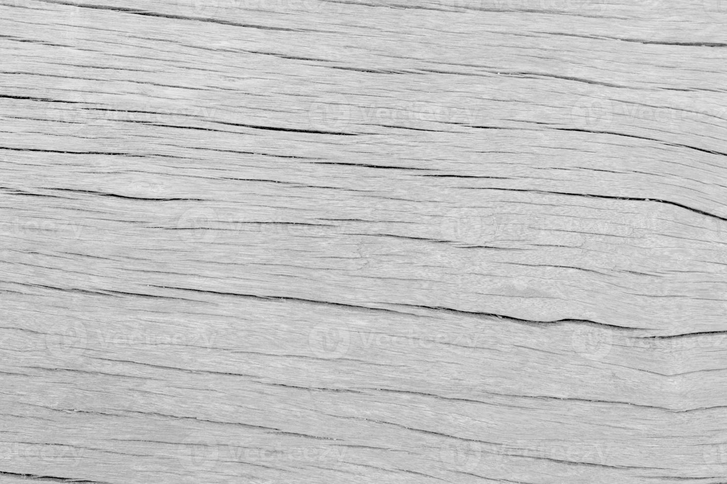gray wood background texture photo
