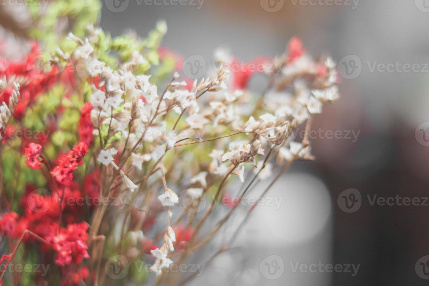 Colorful grass wild flowers with blur background photo