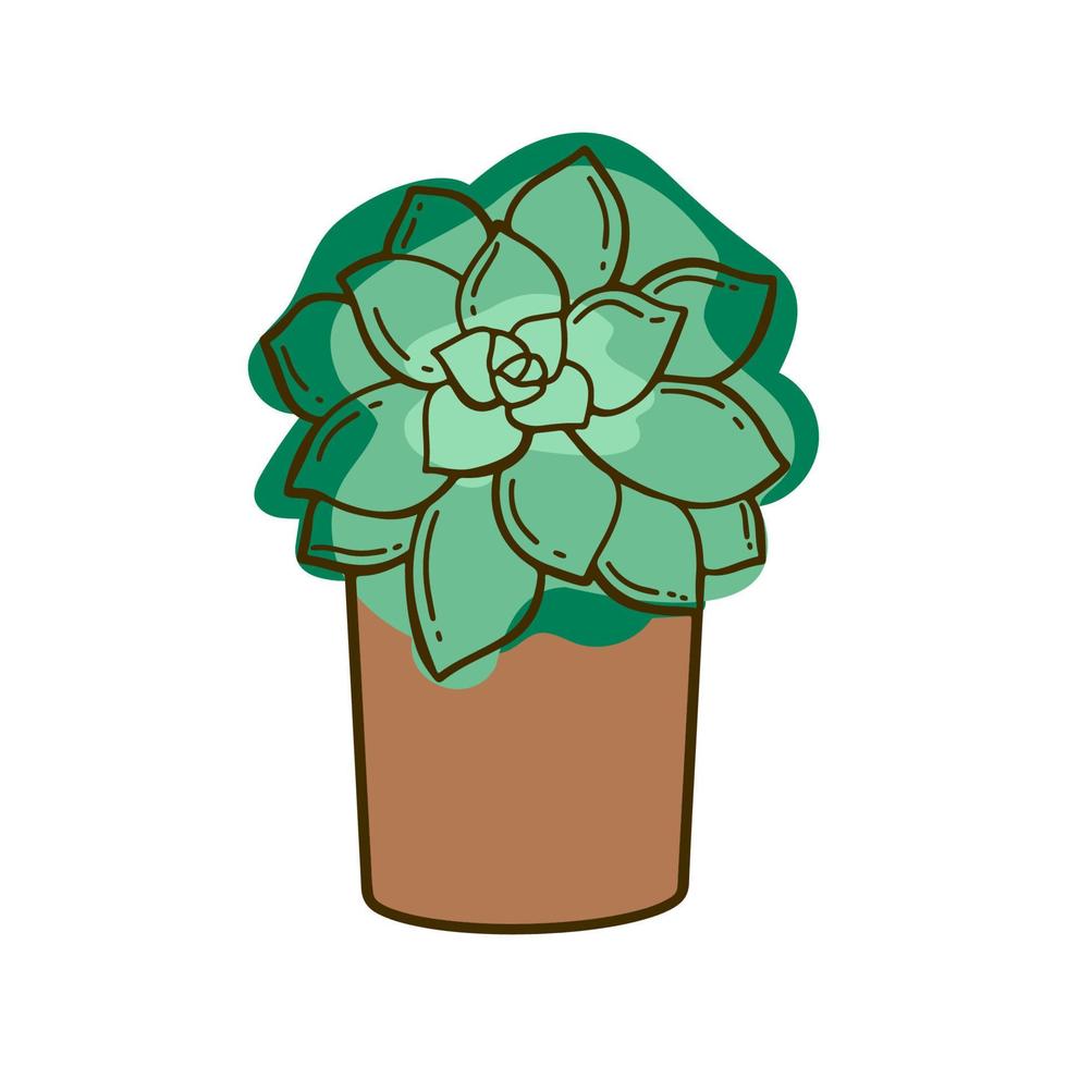 Illustration of succulent in the pot. Botanical drawing for poster design. Nature concept. vector