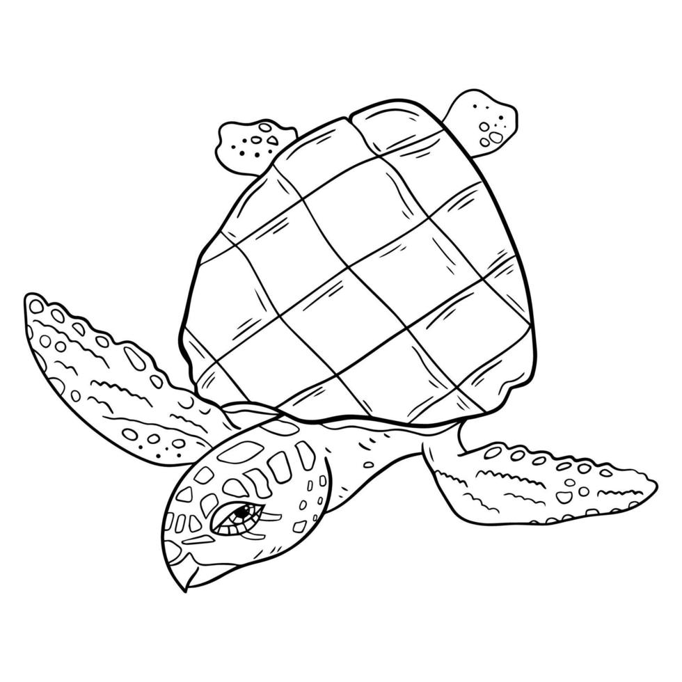 ilustración de vector de contorno de tortuga. banner para el diseño de decoración. ilustración de contorno de vida oceánica.