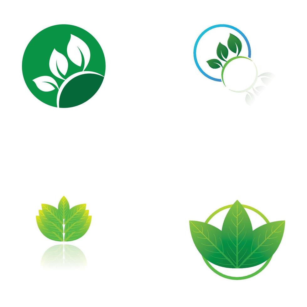 Green leaf logo. Vector design of gardens  plants and nature.