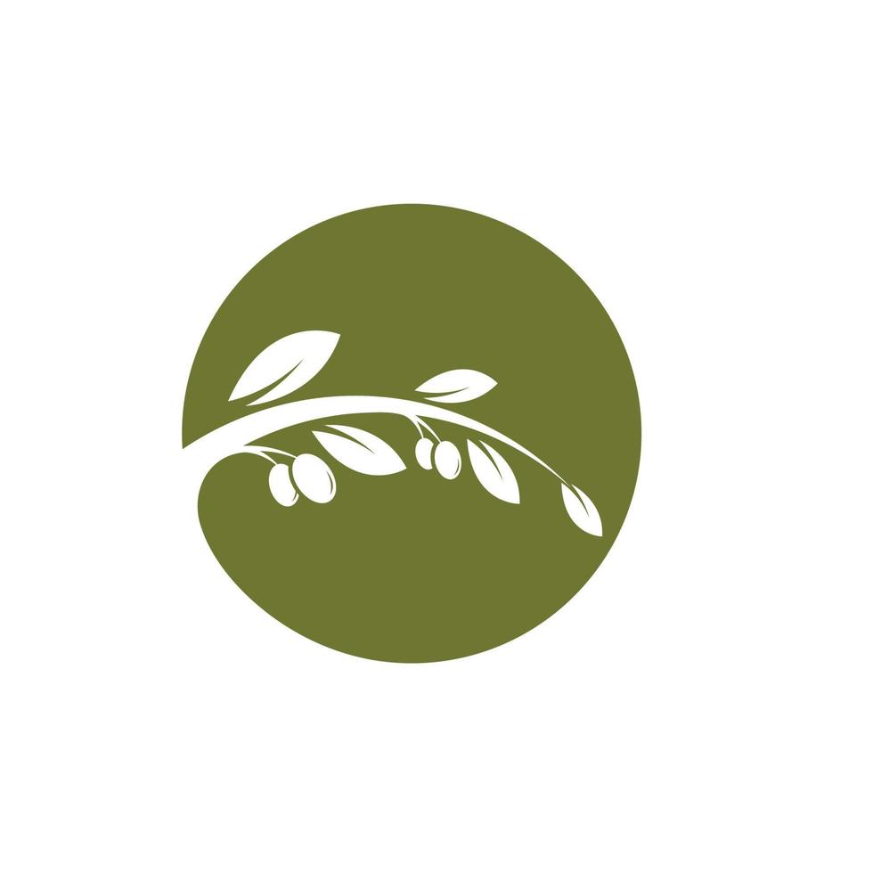 Olive tree vector illustration