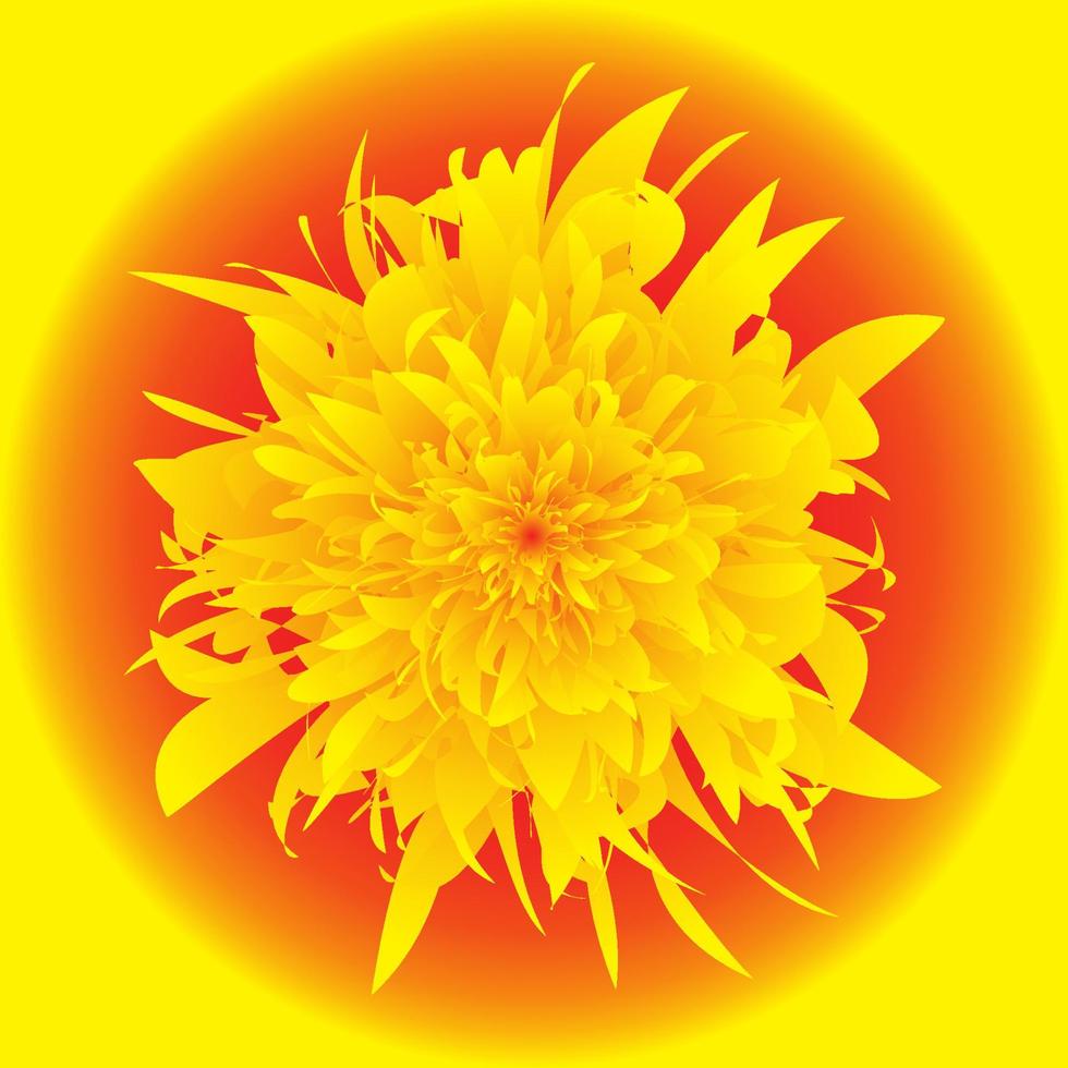 illustration of a blooming yellow flower seen from above vector