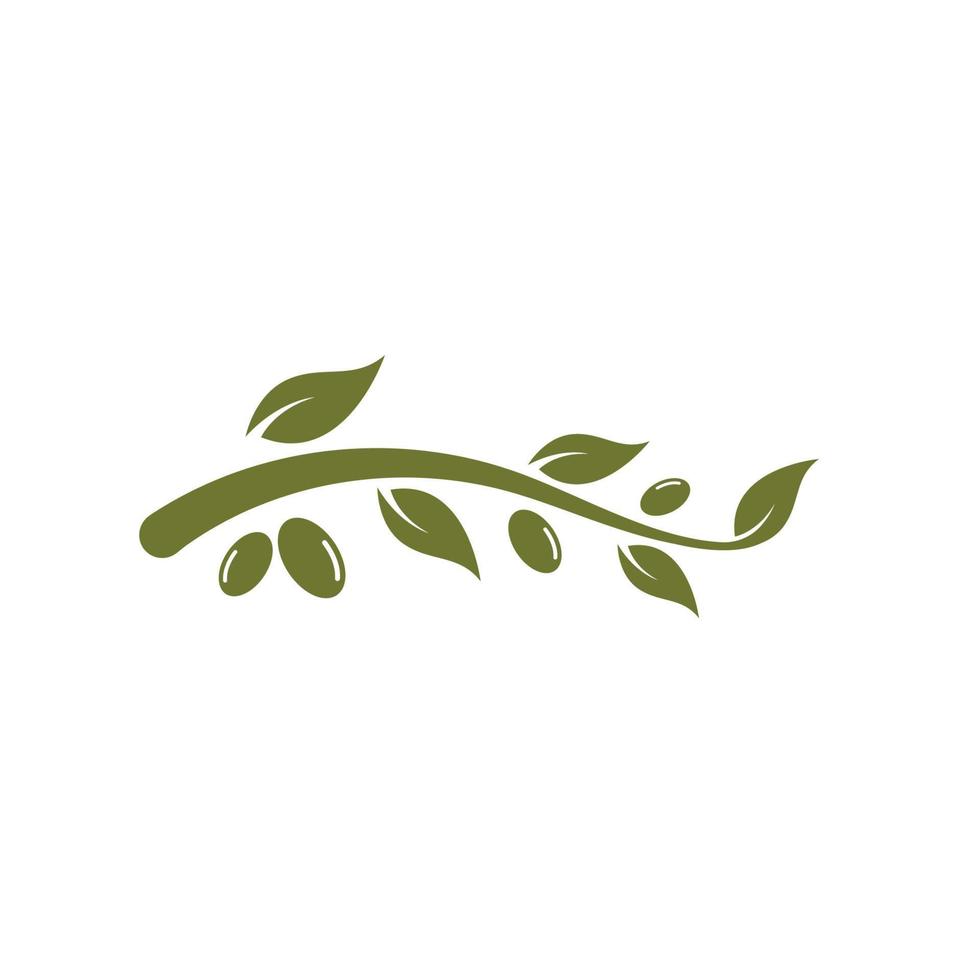 Olive tree vector illustration