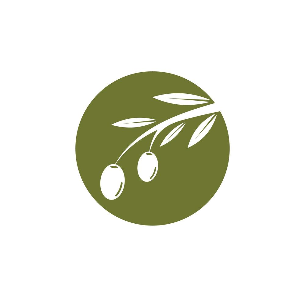 Olive tree vector illustration