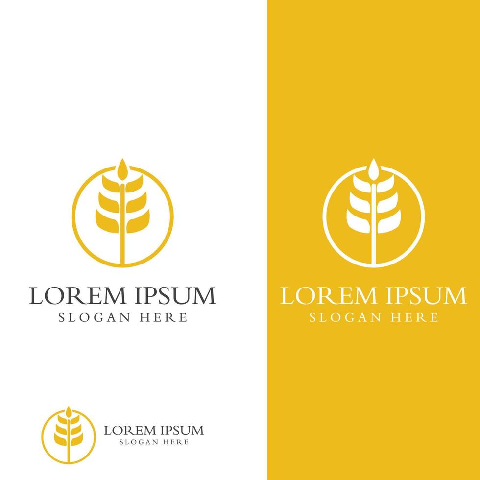 Wheat or cereal logo, wheat field and wheat farm logo.With easy and simple editing illustrations. vector