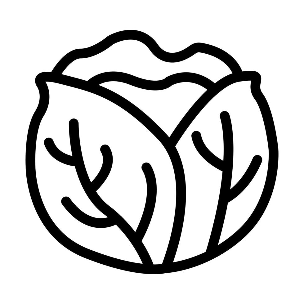 Cabbage Icon Design vector