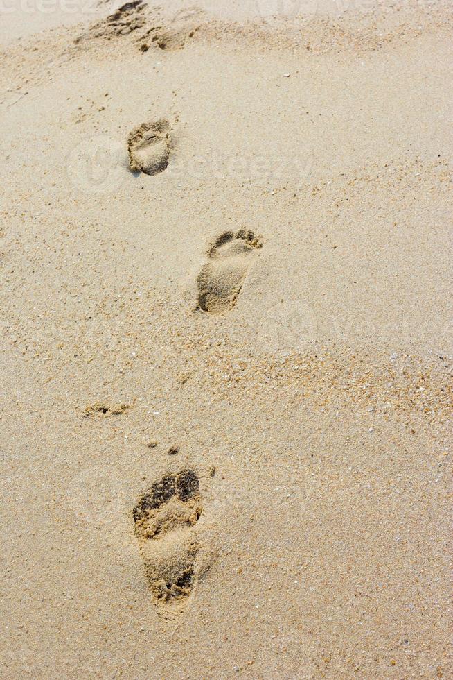 Foot prints on a sandy beach photo