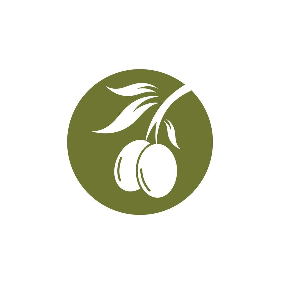 Olive tree vector illustration