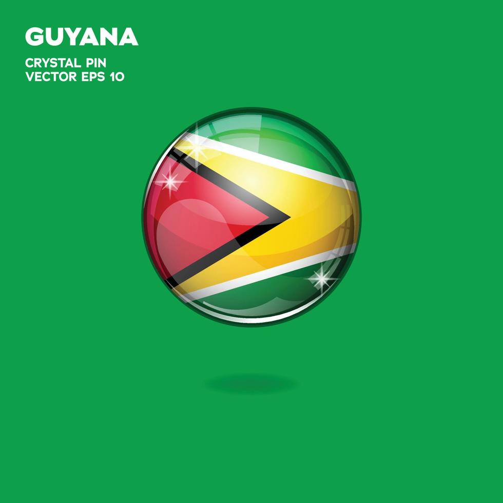 botones 3d de la bandera de guayana vector
