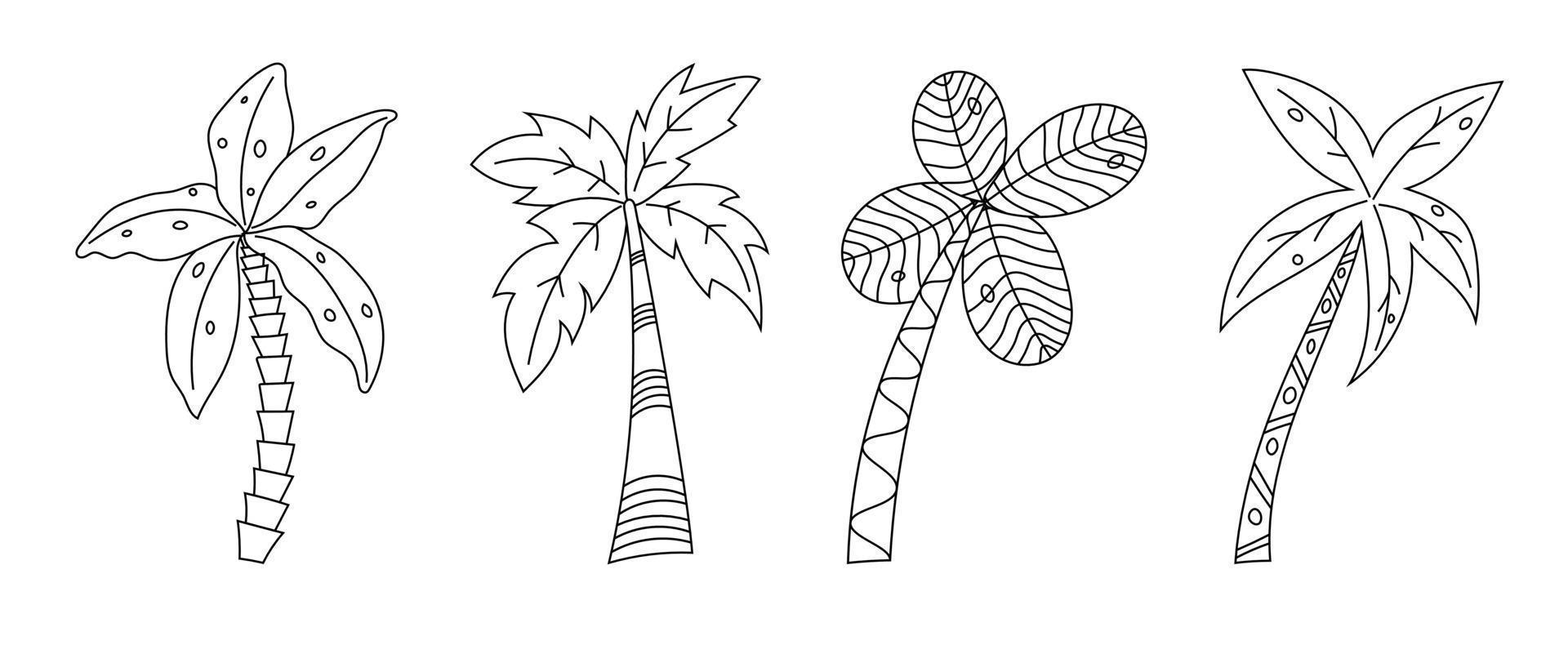 Hand drawn palm trees doodle set. Set of hand drawn coconut tree Isolated on white background. vector illustration