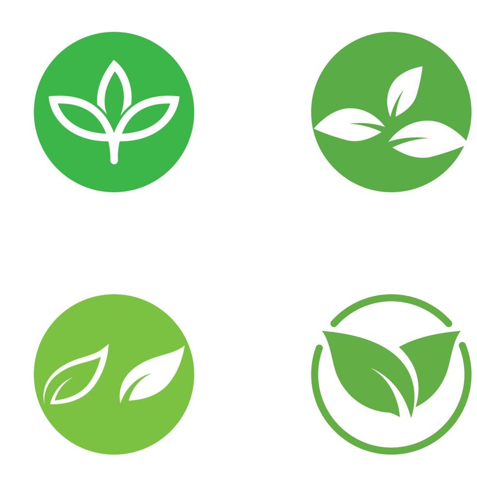 logotipo de hoja verde. diseño de vectores de jardín, plantas y naturaleza. plantilla de vector de ilustración de concepto