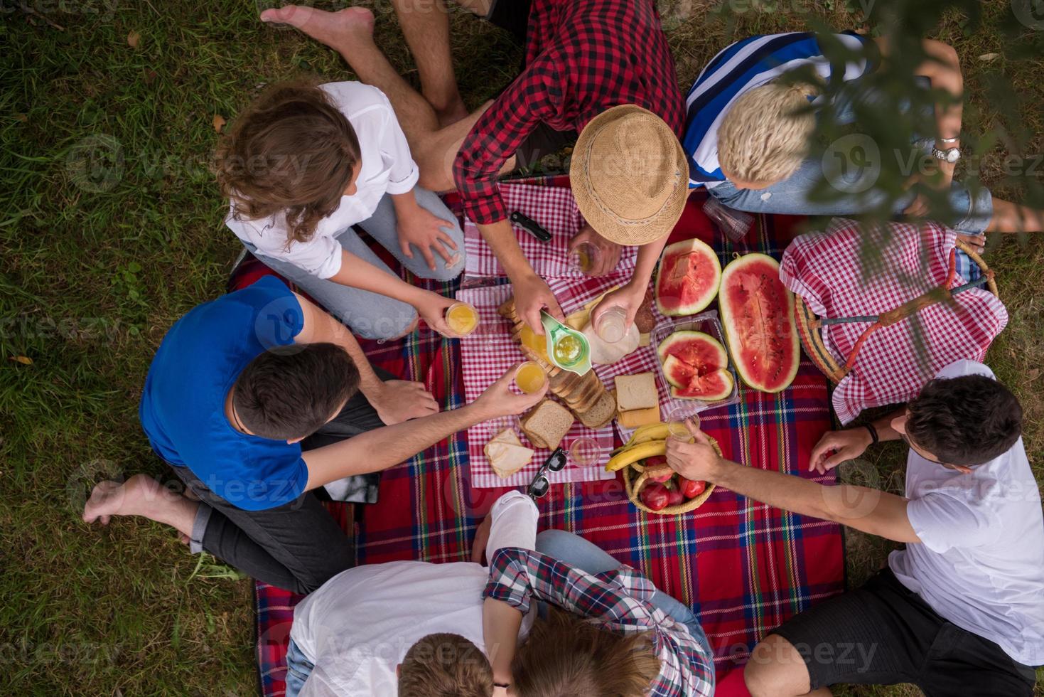 top view of group friends enjoying picnic time photo