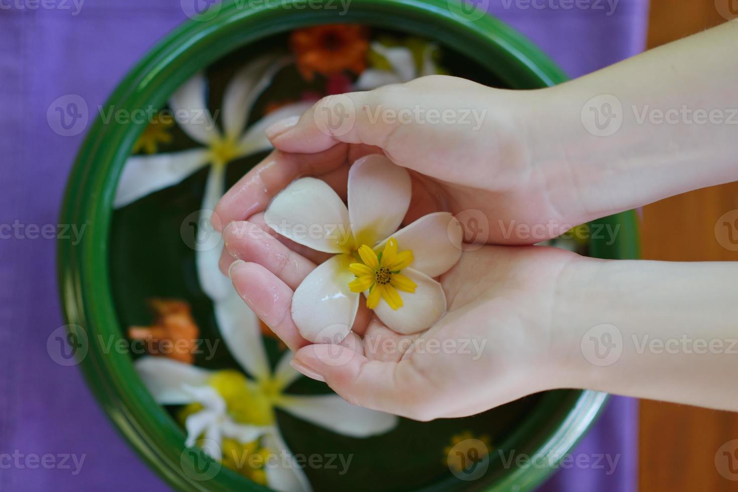 female hand and flower in water 10755582 Stock Photo at Vecteezy