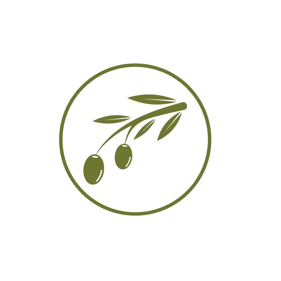 Olive tree vector illustration