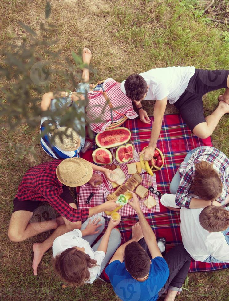 top view of group friends enjoying picnic time photo