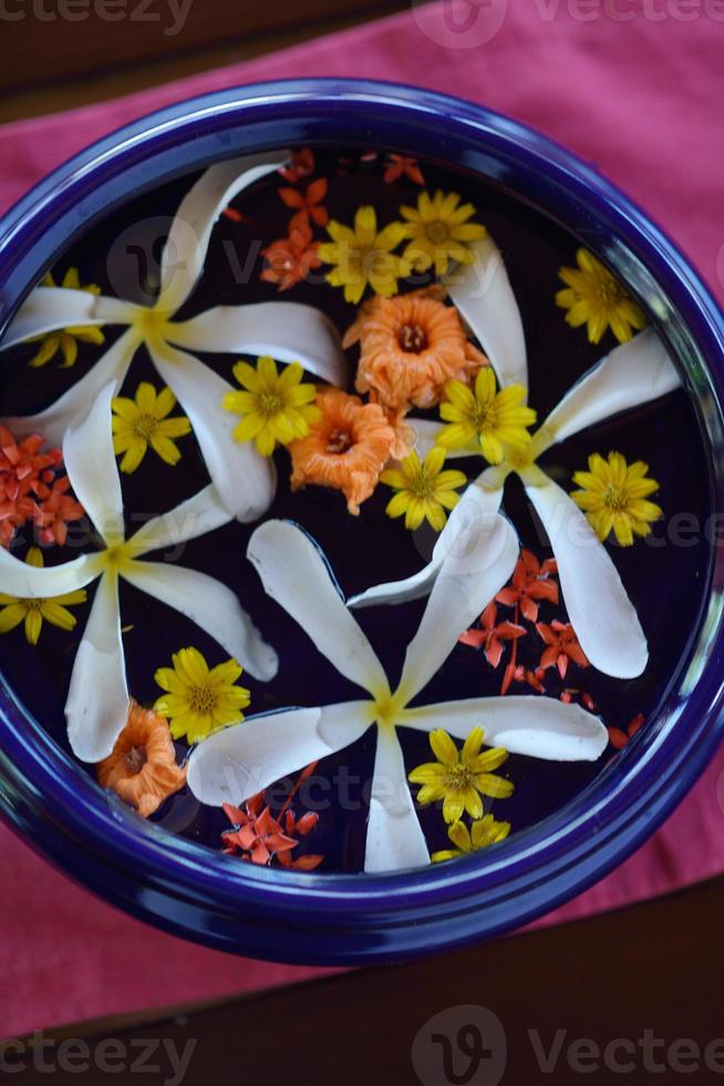 female hand and flower in water photo