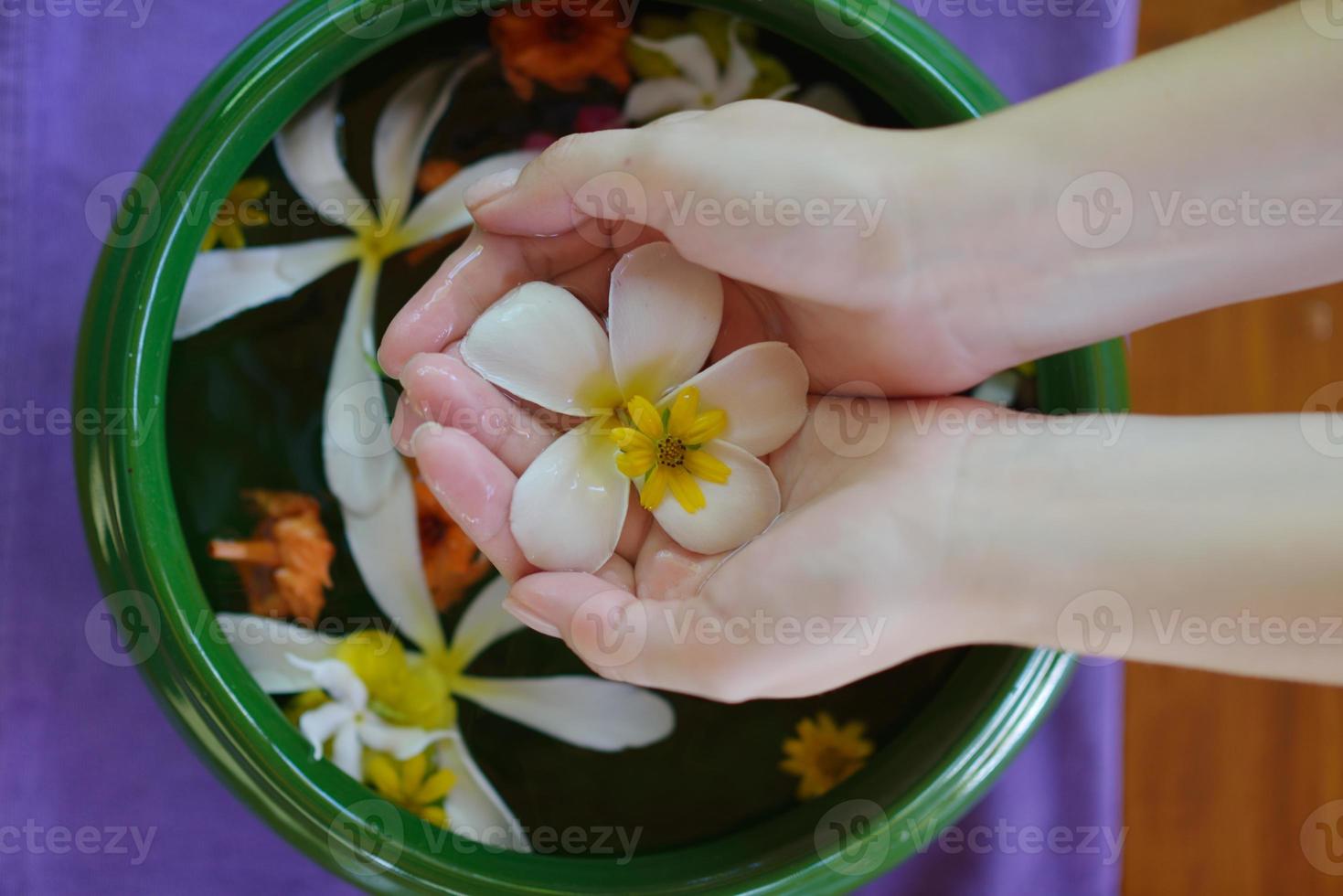 female hand and flower in water photo