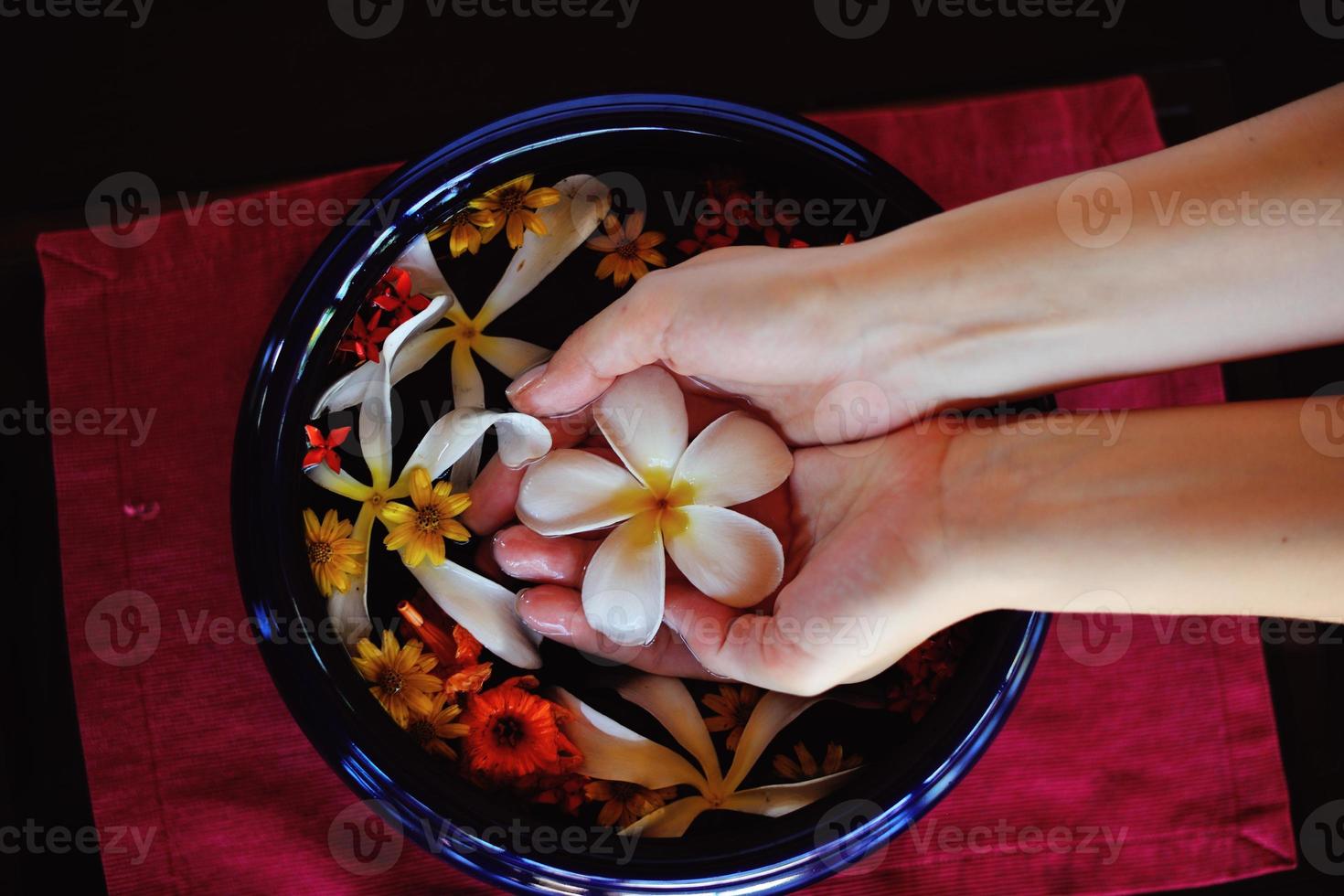 female hand and flower in water photo