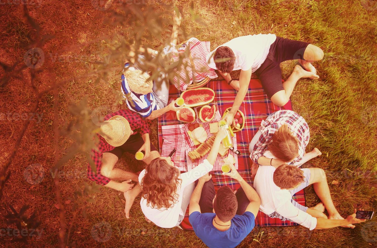 vista superior del grupo de amigos disfrutando del tiempo de picnic foto