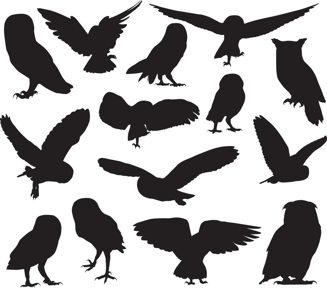 Owl silhouette set. Vector illustration